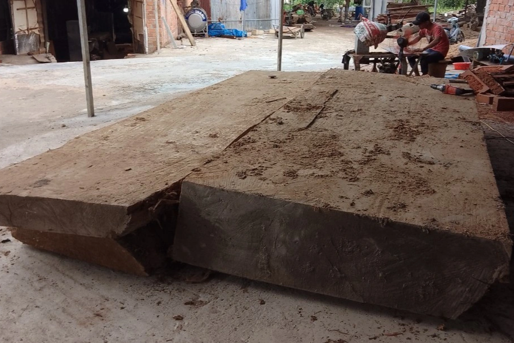 Vụ bỏ gần trăm triệu để đào gỗ dưới ruộng: Bất ngờ khi bị phạt! - 1 Vụ bỏ gần trăm triệu để đào gỗ dưới ruộng: Bất ngờ khi bị phạt! - 1