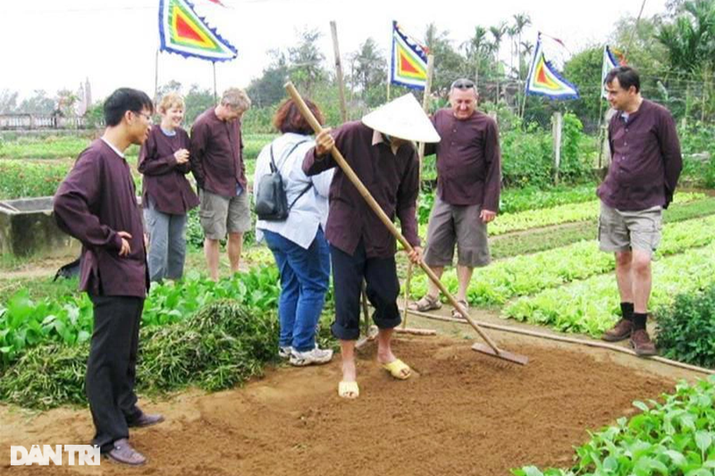 Nghề trồng rau Trà Quế được công nhận Di sản văn hóa phi vật thể Quốc gia - 5 Nghề trồng rau Trà Quế được công nhận Di sản văn hóa phi vật thể Quốc gia - 5