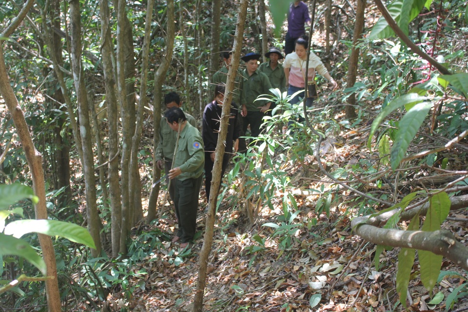 Gia Lai: Nghe người gác rừng kể chuyện nghề giữa chốn thâm sơn - 6