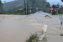 Chủ trang trại cá tầm ở Lâm Đồng bị lũ cuốn mất tích