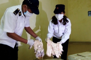 Bắt 3 vụ vận chuyển sản phẩm động vật và gia cầm trái phép