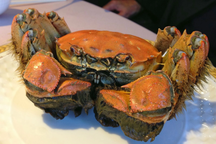 Cua lông Trung Quốc xâm lấn: Người dân bối rối, chính quyền kêu gọi báo cáo