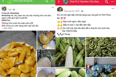Chợ online chung cư lên ngôi trong mùa dịch Covid-19