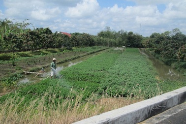 Vụ đền bù giá đất năm sau thấp hơn năm trước: Cần Thơ hứa điều chỉnh tăng giá!