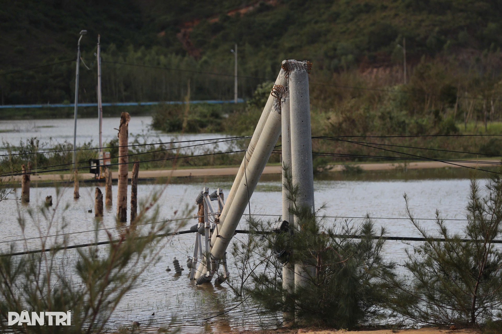 Quy Nhơn tan hoang sau bão Kalmaegi - 5 Quy Nhơn tan hoang sau bão Kalmaegi - 5