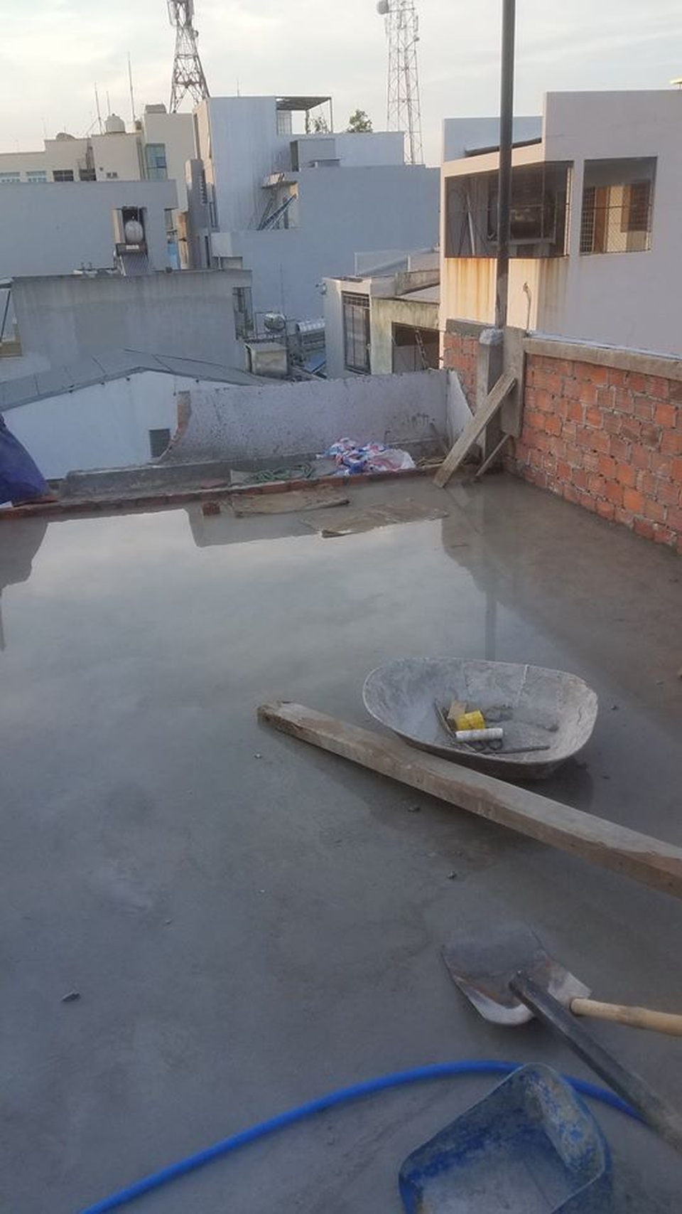 Ông bố 2 con ở Đà Nẵng “làm vườn, nuôi cá” đẹp mê trên sân thượng nhà phố - 2 Ông bố 2 con ở Đà Nẵng “làm vườn, nuôi cá” đẹp mê trên sân thượng nhà phố - 2