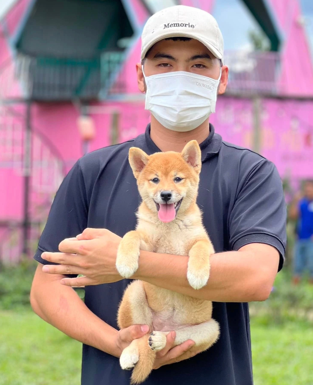 Chàng trai phố núi kiếm trăm triệu đồng mỗi tháng nhờ nuôi chó cảnh - 1 Chàng trai phố núi kiếm trăm triệu đồng mỗi tháng nhờ nuôi chó cảnh - 1