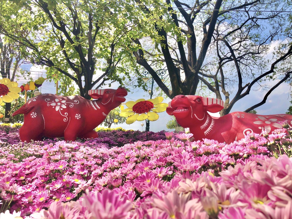 Đường hoa lớn nhất Đồng Nai thưa thớt khách tham quan  - 13