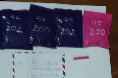 Bắt đối tượng tàng trữ hơn 1 ngàn viên ma túy hồng phiến