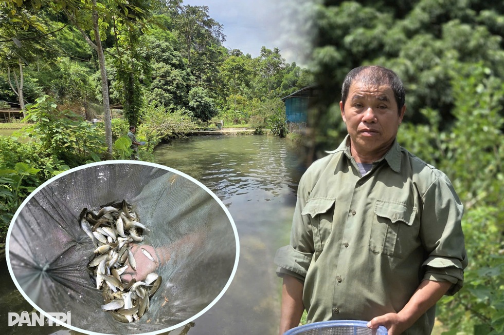 Lão nông chỉ học hết lớp 3, thành đại gia nhờ nhân giống loài cá đặc sản