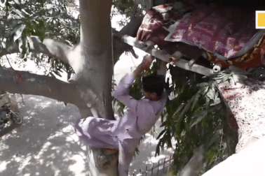 Không có tiền mua đất xây nhà, chàng trai làm tổ sống trên cây gần chục năm