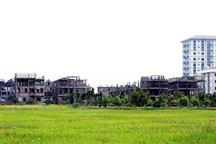 Xử lý tổ chức, cá nhân chậm giao đất dịch vụ cho dân