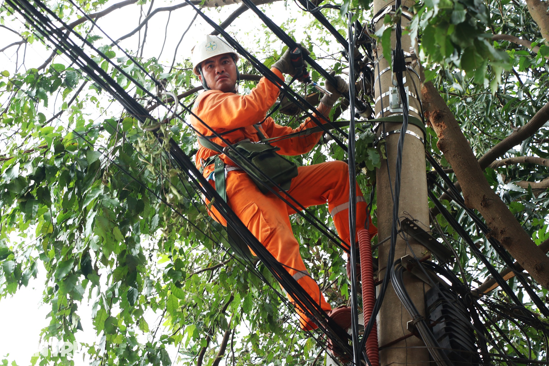 Những người thợ áo cam căng mình dựng cột, nối đường dây sau bão Kajiki - 3 Những người thợ áo cam căng mình dựng cột, nối đường dây sau bão Kajiki - 3