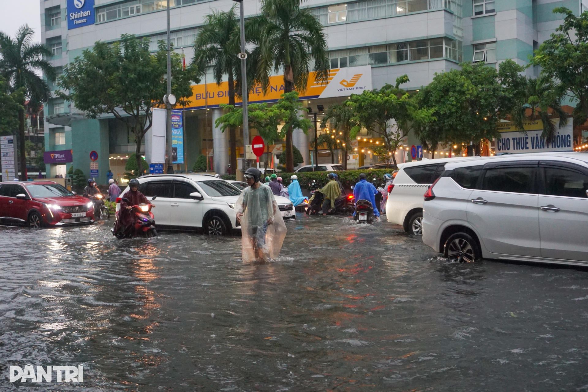 Đà Nẵng mưa trắng trời, đường phố mênh mông nước - 9 Đà Nẵng mưa trắng trời, đường phố mênh mông nước - 9