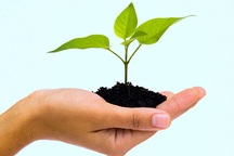 Cho con tự lập công ty tin học hay đi du học?