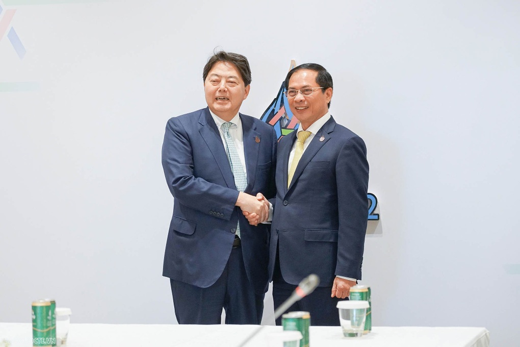Bộ trưởng Ngoại giao Bùi Thanh Sơn gặp Ngoại trưởng Nhật, Mỹ bên lề APEC - 1 Bộ trưởng Ngoại giao Bùi Thanh Sơn gặp Ngoại trưởng Nhật, Mỹ bên lề APEC - 1