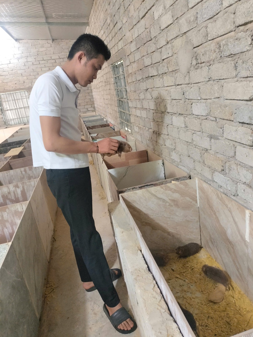 Nhiều mô hình thoát nghèo hiệu quả ở xã biên giới Nghệ An - 1 Nhiều mô hình thoát nghèo hiệu quả ở xã biên giới Nghệ An - 1