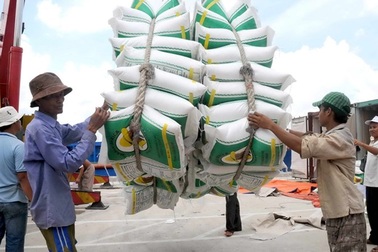 Trung Quốc mua gạo Việt giá cao kỷ lục; 321 triệu khẩu trang "xuất ngoại"