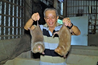 "Vua dúi" miền Tây chia sẻ bí quyết kiếm trăm triệu đồng mỗi tháng