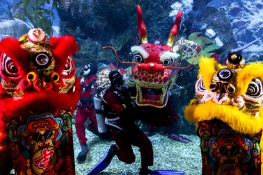 Thế giới rộn ràng đón năm mới Giáp Thìn