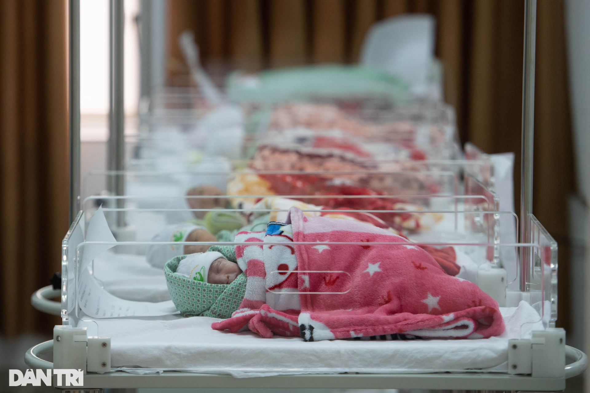 Khoảnh khắc sự sống nảy mầm giữa khu điều trị sản phụ F0 ở Hà Nội - 18 Khoảnh khắc sự sống nảy mầm giữa khu điều trị sản phụ F0 ở Hà Nội - 18