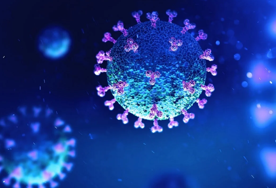 Xét nghiệm PCR lần 3 mới dương tính SARS-CoV-2: Chuyên gia nói gì? - 3 Xét nghiệm PCR lần 3 mới dương tính SARS-CoV-2: Chuyên gia nói gì? - 3