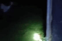 Người đàn ông bị trăn siết chết khi cố gắng bắt giữ con vật