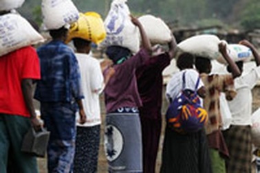 Xu hướng mới “hậu” khủng hoảng lương thực