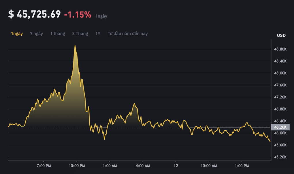 Giá bitcoin liên tục nhảy múa sau quyết định lịch sử - 1