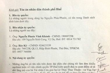 Vụ lăng mộ vợ vua Tự Đức bị san ủi: Sẽ khởi kiện chủ đầu tư vì xâm phạm mồ mả