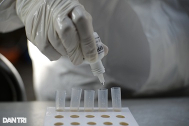 Bệnh Covid-19 sẽ không còn được điều trị miễn phí