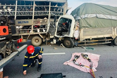 Gần 2 tháng, xảy ra hơn 1.000 vụ tai nạn liên quan xe kinh doanh vận tải