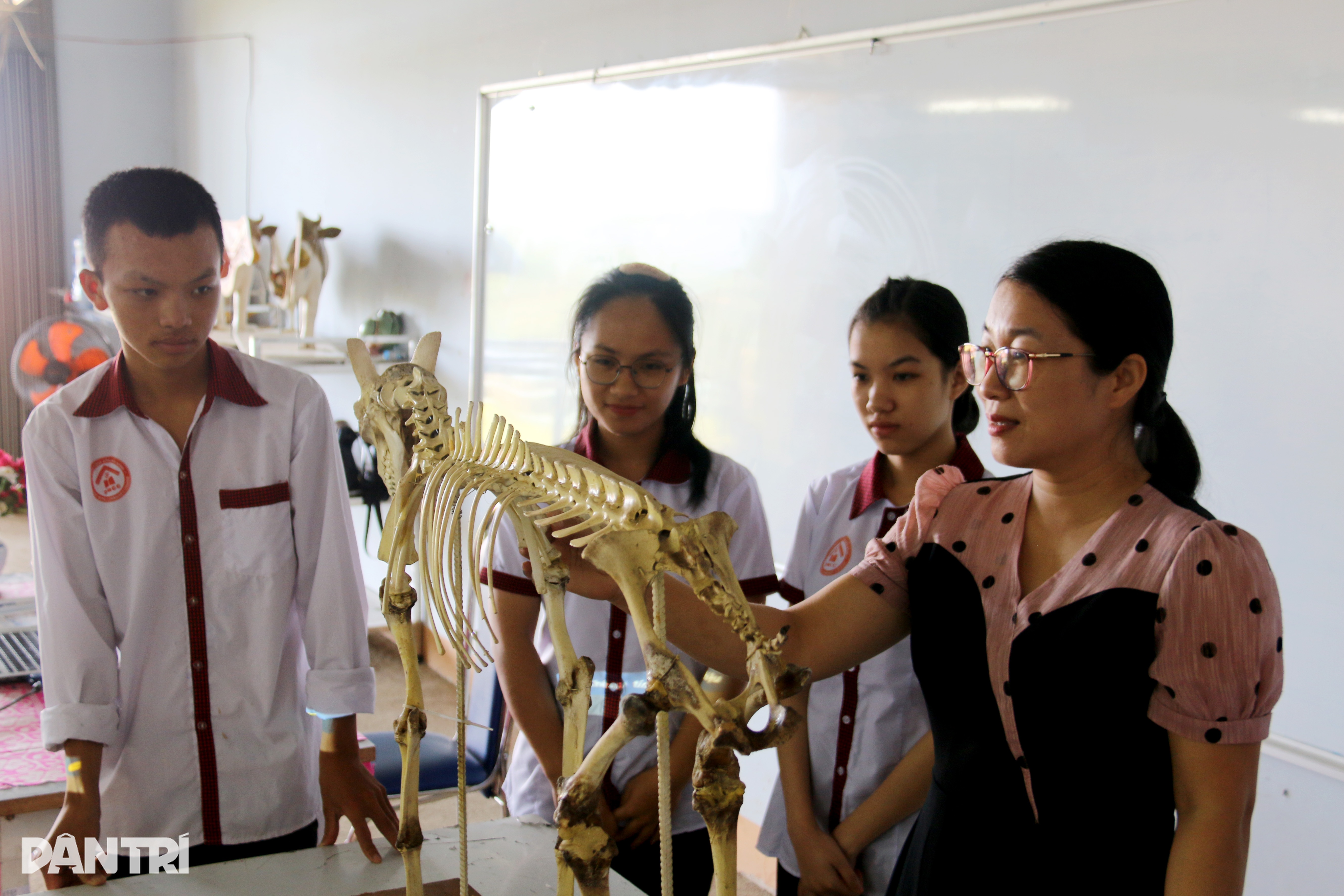 Học nghề chỉn chu để có kiến thức tự lập nghiệp - 1 Học nghề chỉn chu để có kiến thức tự lập nghiệp - 1