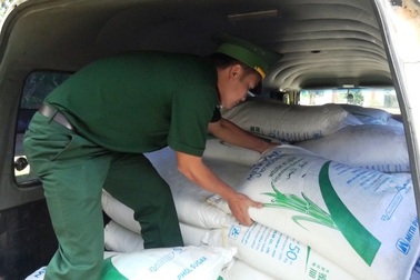 Giấu hàng tấn đường lậu ở biên giới để đưa vào nội địa