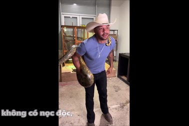Người đàn ông thản nhiên đùa với trăn anaconda dù liên tục bị con vật cắn