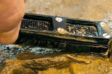 Thuốc kháng sinh từ trong bùn đất