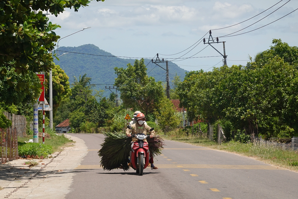Bất ngờ ở xã từng có hơn nửa số dân là nghèo tại huyện miền núi ở Bình Định - 2 Bất ngờ ở xã từng có hơn nửa số dân là nghèo tại huyện miền núi ở Bình Định - 2