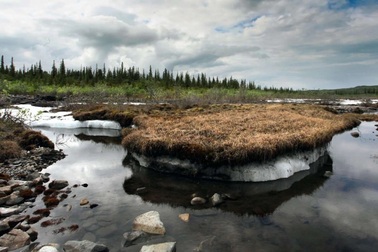 Lớp băng vĩnh cửu tan chảy, mang hiểm họa tới loài người như thế nào?