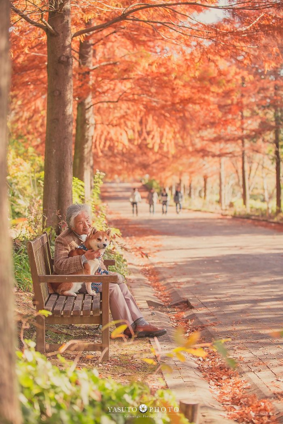 Gác lại căng thẳng để nhìn ngắm cuộc sống yên bình của “bà cụ và cún cưng” - 8 Gác lại căng thẳng để nhìn ngắm cuộc sống yên bình của “bà cụ và cún cưng” - 8
