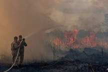 Cơn thèm ăn của người Trung Quốc đang giết chết lá phổi xanh của thế giới -Amazon?