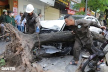 Nạn nhân bị nữ tài xế ô tô tông liên hoàn ở Hà Nội: "Tôi bị đâm văng xa 3m"