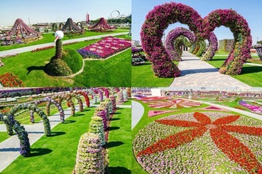Lạc bước vào vườn hoa đẹp nhất thế giới ở Dubai