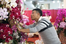 Kiếm cả trăm triệu đồng dịp cận Tết, thợ kết hoa lan "ngủ ngày cày đêm"