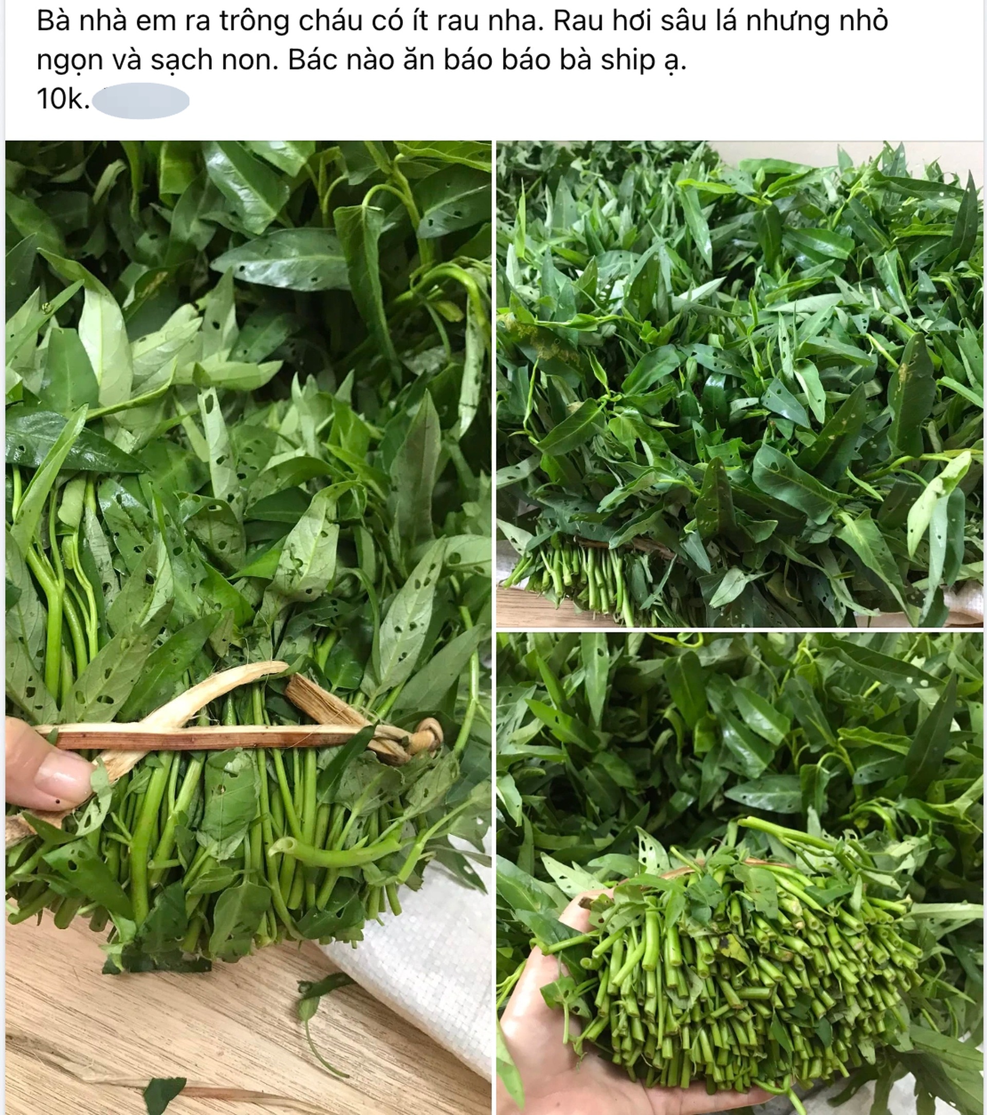 Chỉ từ 100 triệu đồng tiền gốc, vợ chồng trẻ 9 năm đổi 3 nhà ở Hà Nội - 5 Chỉ từ 100 triệu đồng tiền gốc, vợ chồng trẻ 9 năm đổi 3 nhà ở Hà Nội - 5