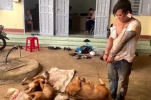 "Cẩu tặc" manh động đâm chủ nhà, xịt hơi cay chống trả công an