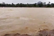 Nam thanh niên mất tích khi đi rừng