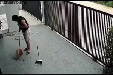 Cười nghiêng ngả với tình huống đãng trí siêu hài hước