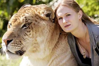 Con lai của những mối tình “khác dòng”