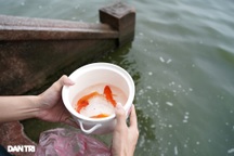 Mùa Covid: Vắng vẻ cảnh thả cá chép ngày tiễn ông Táo lên chầu trời