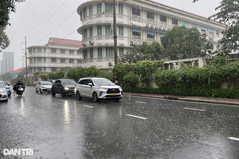 TPHCM tiếp tục mưa lớn, cây xanh bật gốc đè 3 xe máy - 2 TPHCM tiếp tục mưa lớn, cây xanh bật gốc đè 3 xe máy - 2